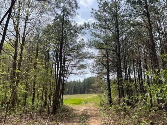 635 Stanley Hinson Rd - Photo 1