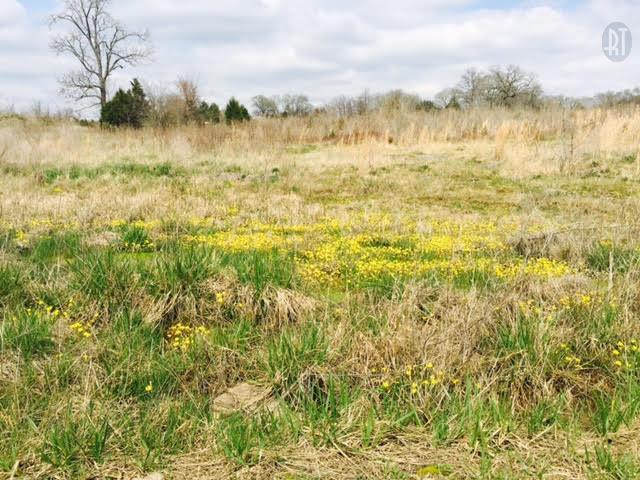 4799 Cairo Bend Road - Photo 1