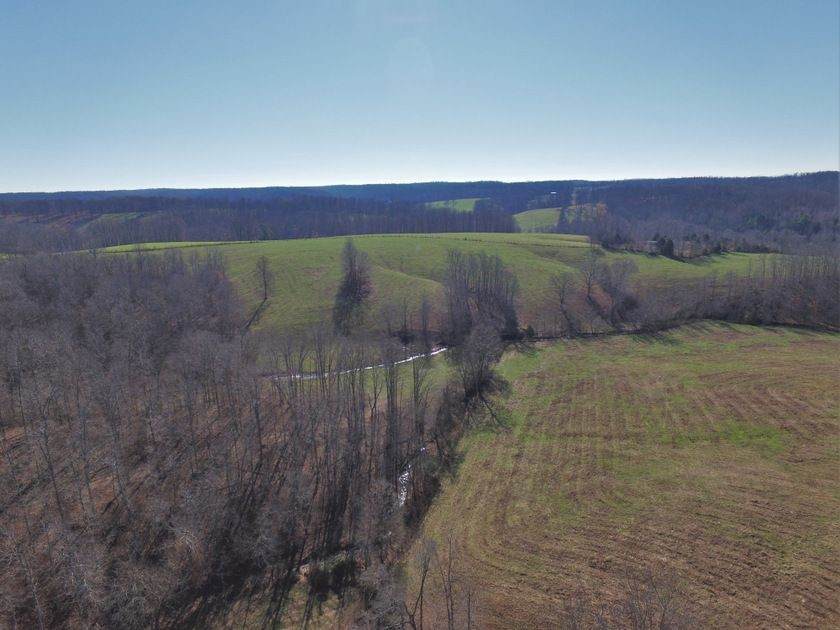 0 Dog Creek Rd - Photo 1