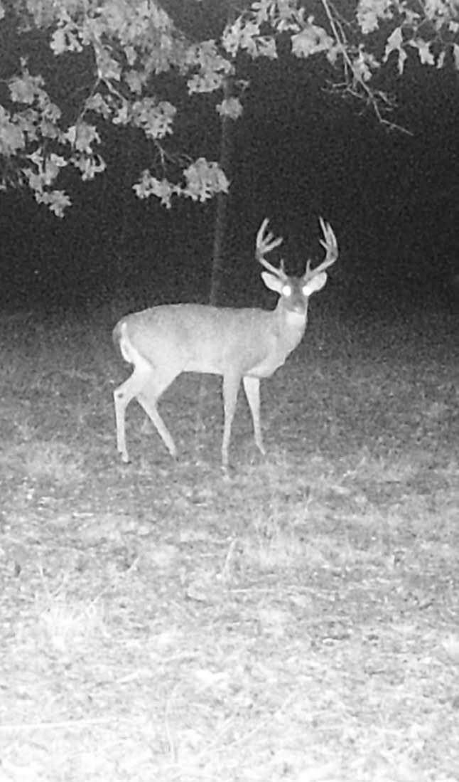 0 Treadwell Prong Rd - Photo 1