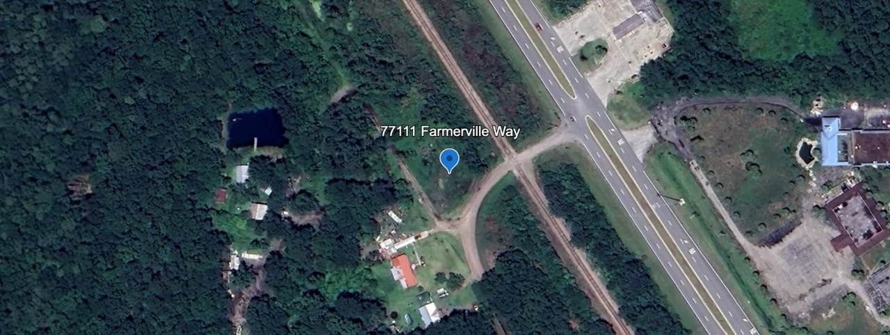 77111 Farmerville Way - Photo 1