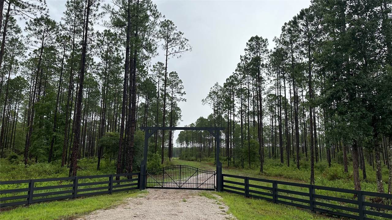 6008 Us Highway 301 - Photo 1