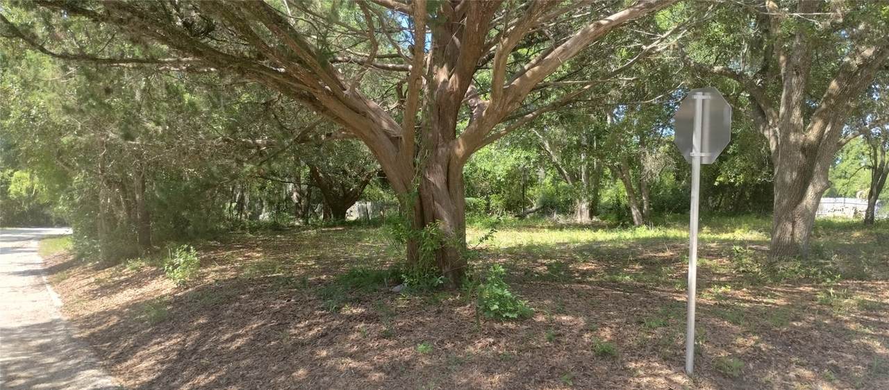 Lot 1 & 2 Someruelus Street - Photo 1