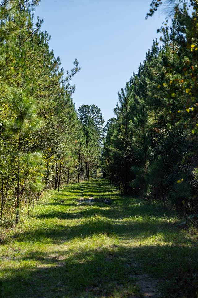 0 Us Highway 301 - Photo 1