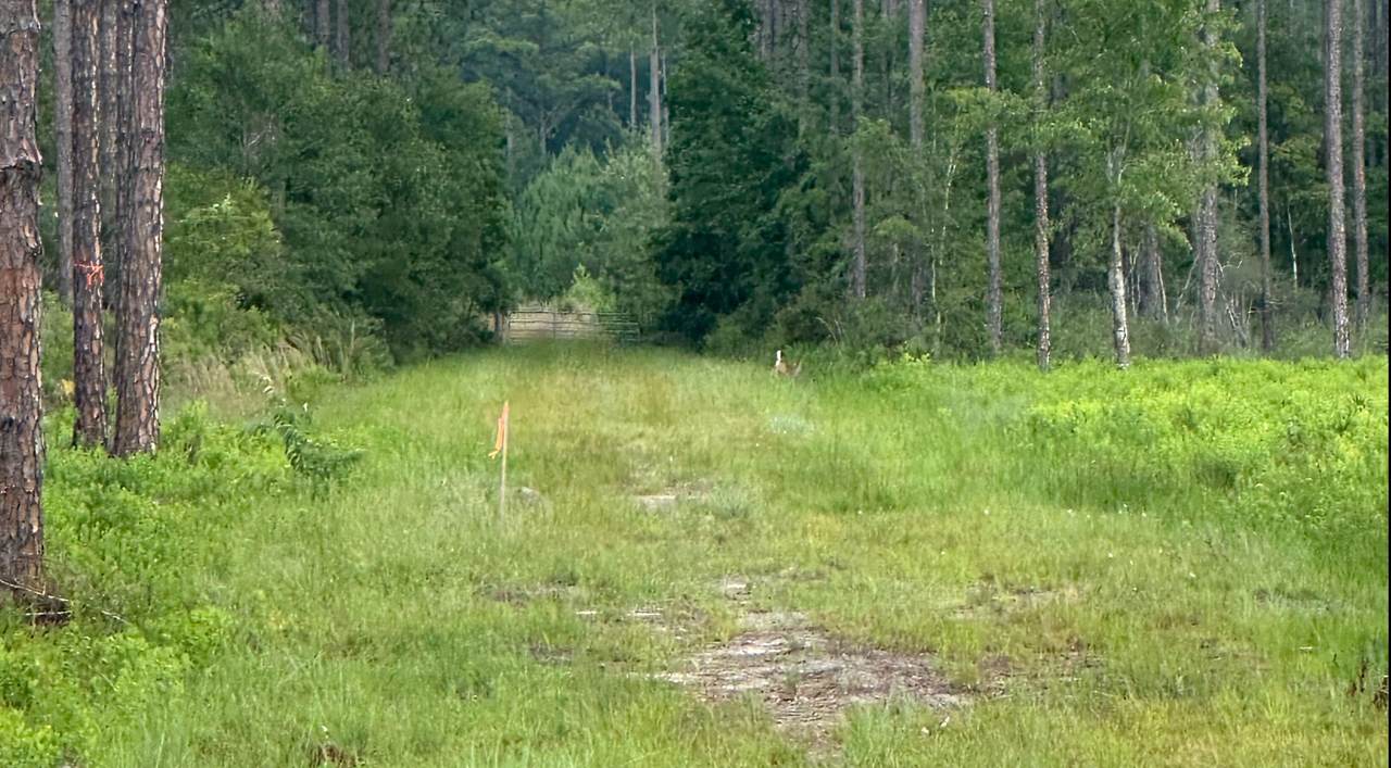 6136 Us Highway 301 - Photo 1
