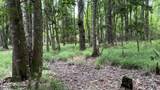 Lot 1 Us Highway 301 - Photo 5