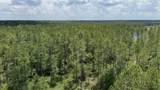 6136 Us Highway 301 - Photo 11