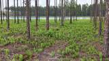 6064 Us Highway 301 - Photo 5