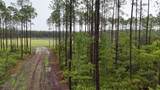 6008 Us Highway 301 - Photo 4
