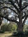 86014 Lee Plantation Drive - Photo 22