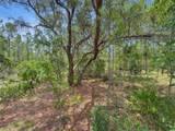 0 Penny Haddock Road - Photo 8