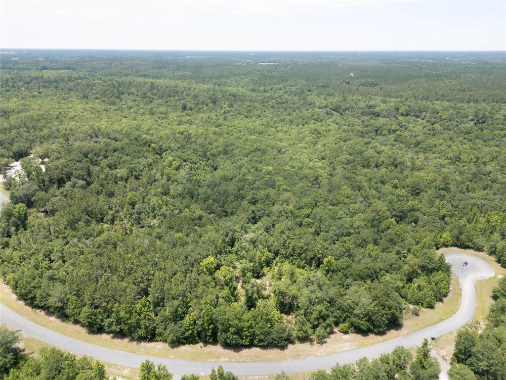 15457 Bullock Bluff Road - Photo 1