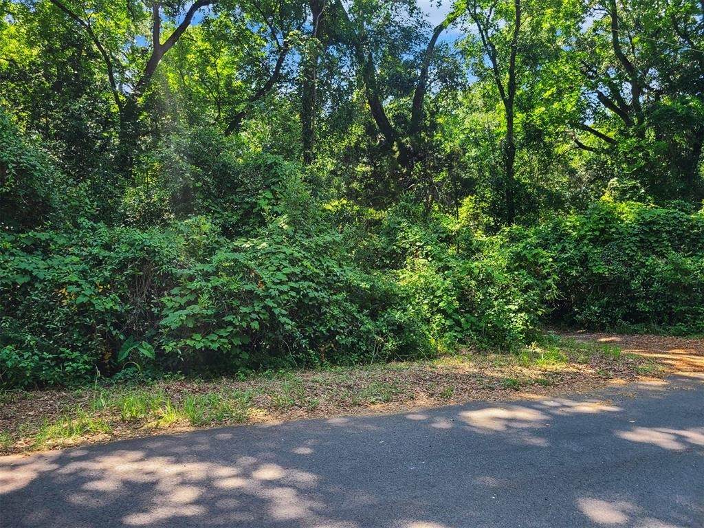  Amelia Circle - Photo 1