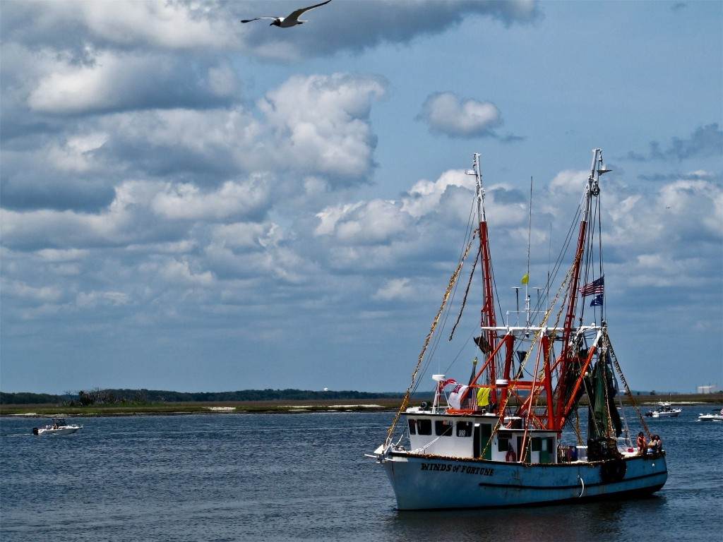 https://bt-photos.global.ssl.fastly.net/nassau/orig_boomver_1_114059-2.jpg
