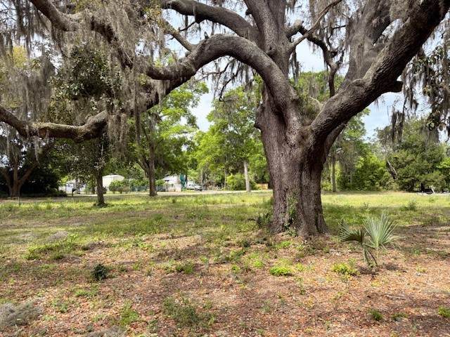 95177 Cook Road - Photo 1