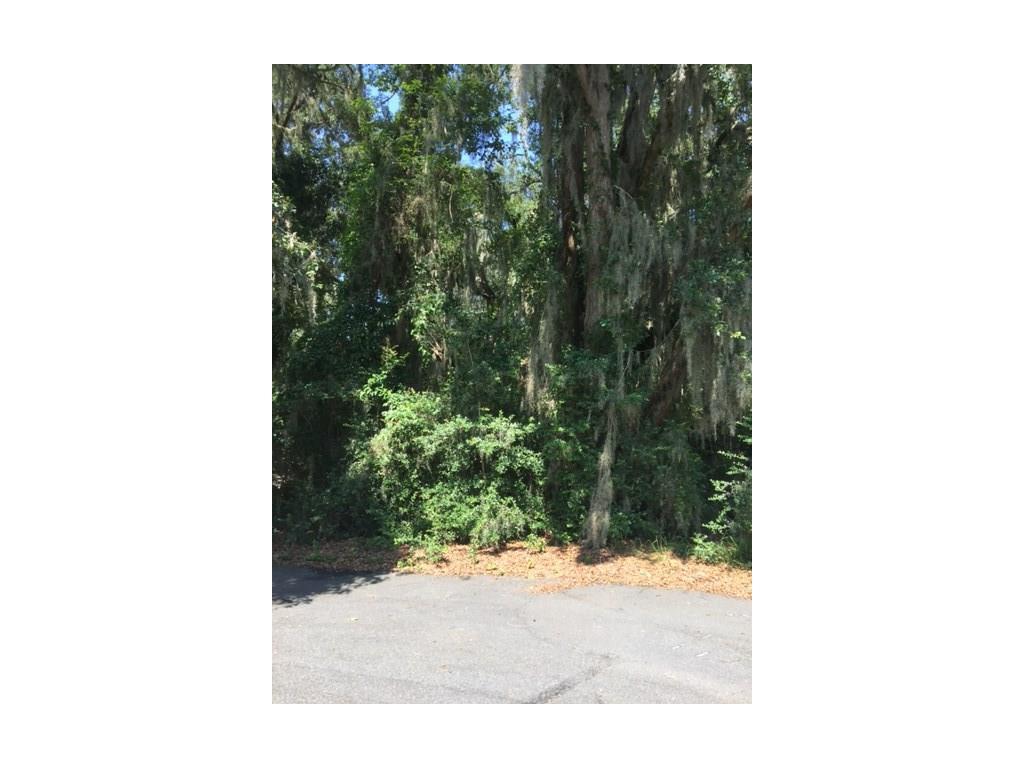LOT 33 Hidden Marsh Lane - Photo 1