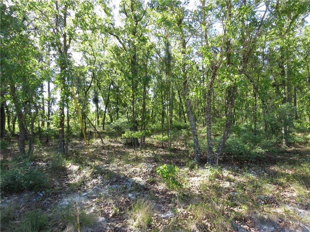 Jaybird Lane - Photo 1