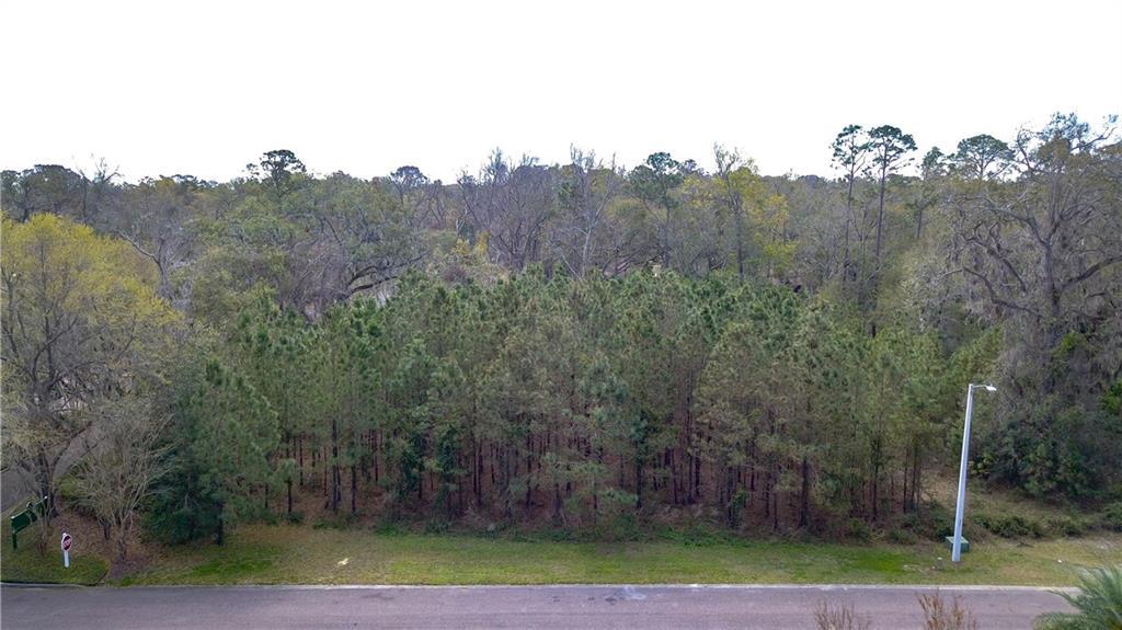 Lot 1 Heath Point Lane - Photo 1