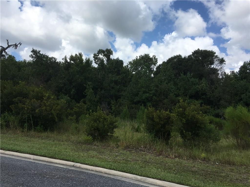 95183 Amberwood Lane - Photo 1
