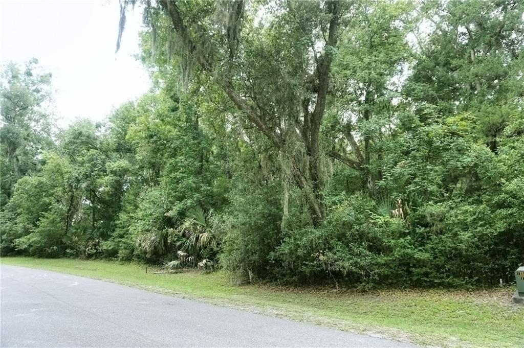 95213 Shell Midden Lane - Photo 1