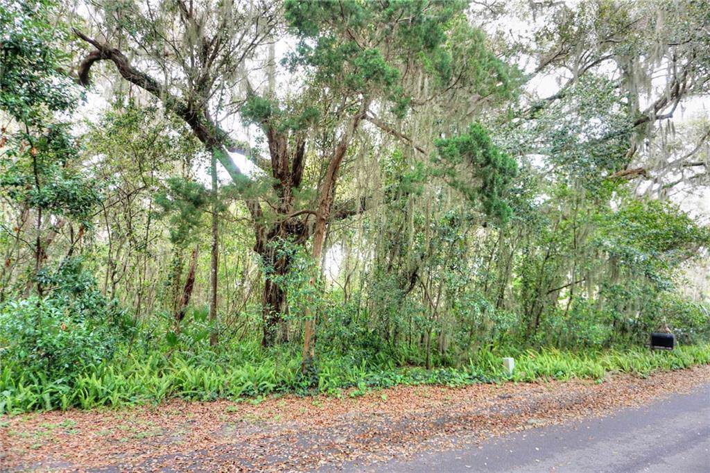 LOT 63 Sea Marsh Road - Photo 1