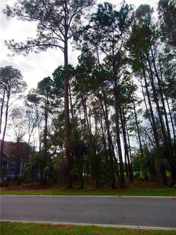 96695 Soap Creek Drive - Photo 1
