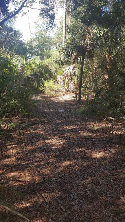 Duck Lake Drive - Photo 1