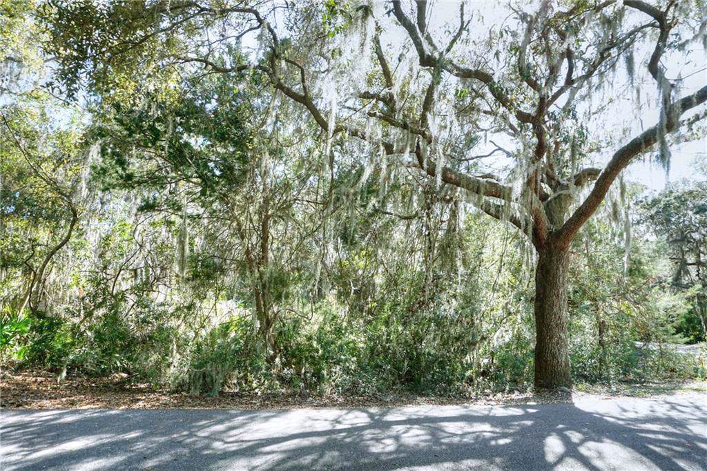 Lot 168 Royal Tern Drive - Photo 1