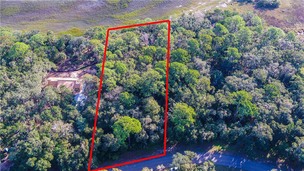 96026 Brady Point Road - Photo 1