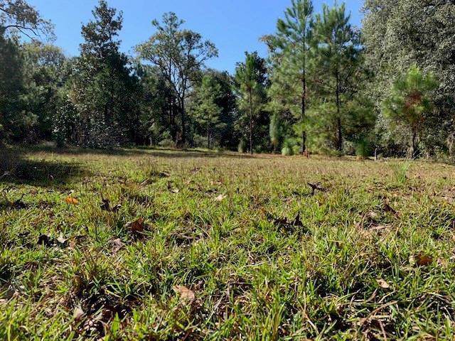 87270 Bell River Estate Road - Photo 1