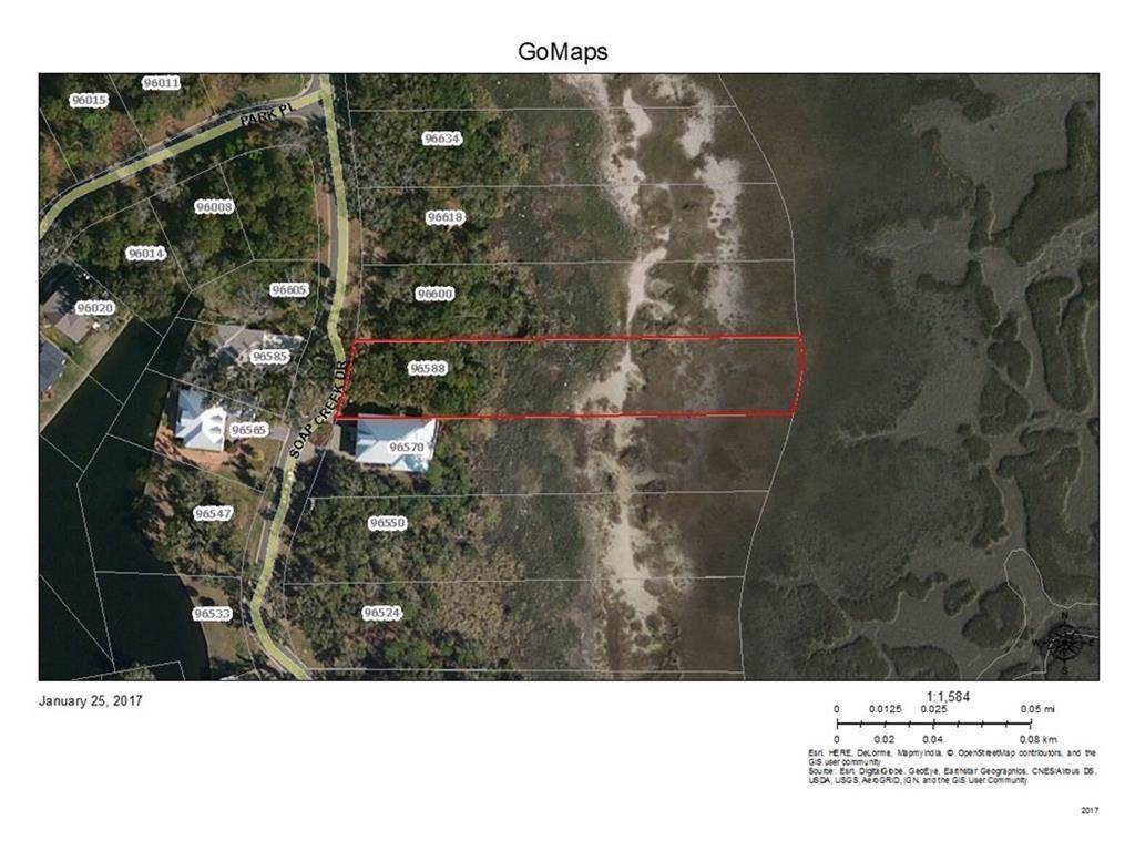 96588 Soap Creek Drive - Photo 1