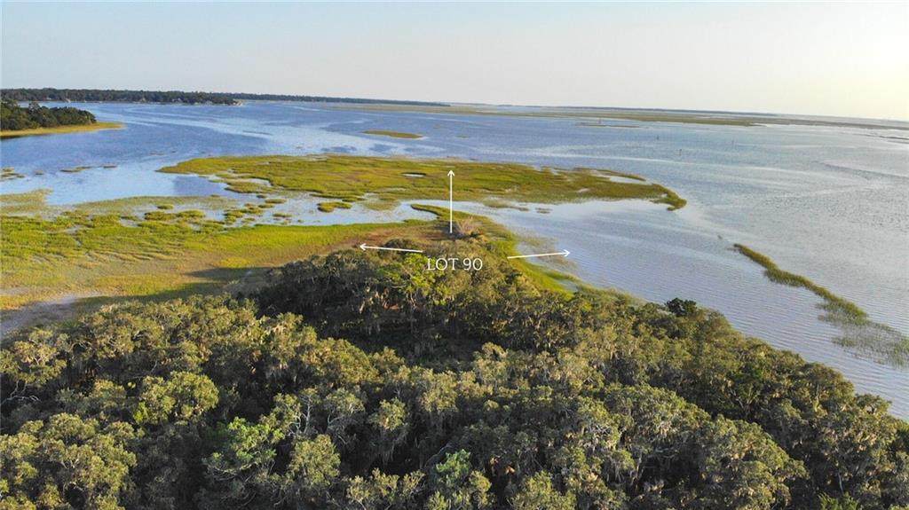 161 Crane Island Drive - Photo 1