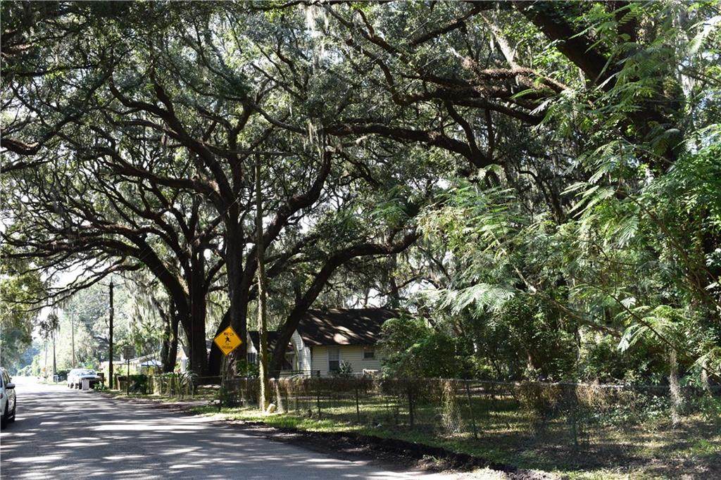 797 Old Amelia Avenue - Photo 1