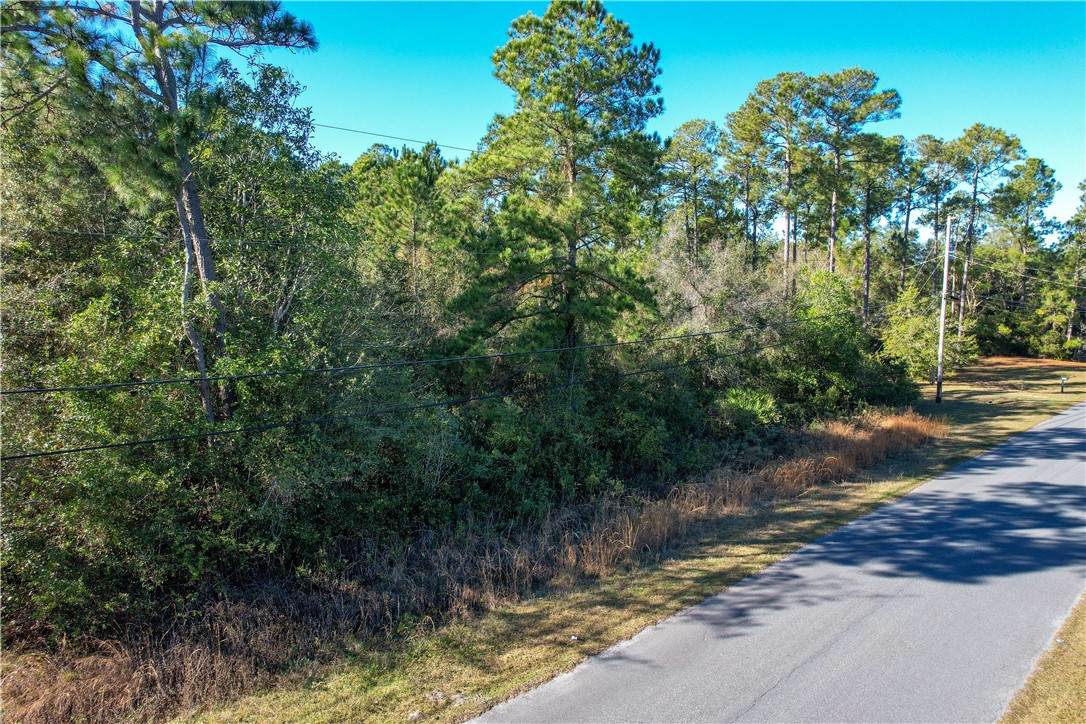 Lot 36 Burmeister Road - Photo 1