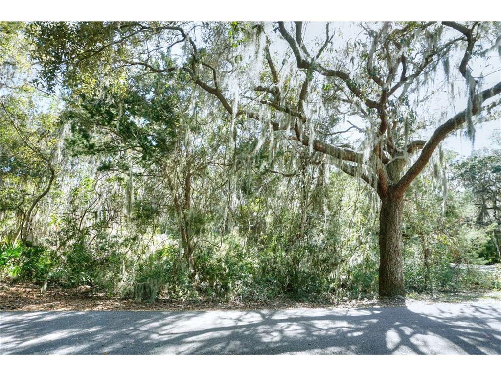 Lot 168 Royal Tern Drive - Photo 1