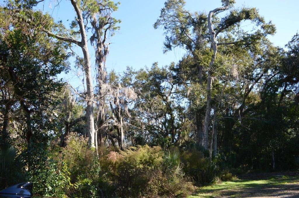 Lot 40 Sea Marsh Road - Photo 1