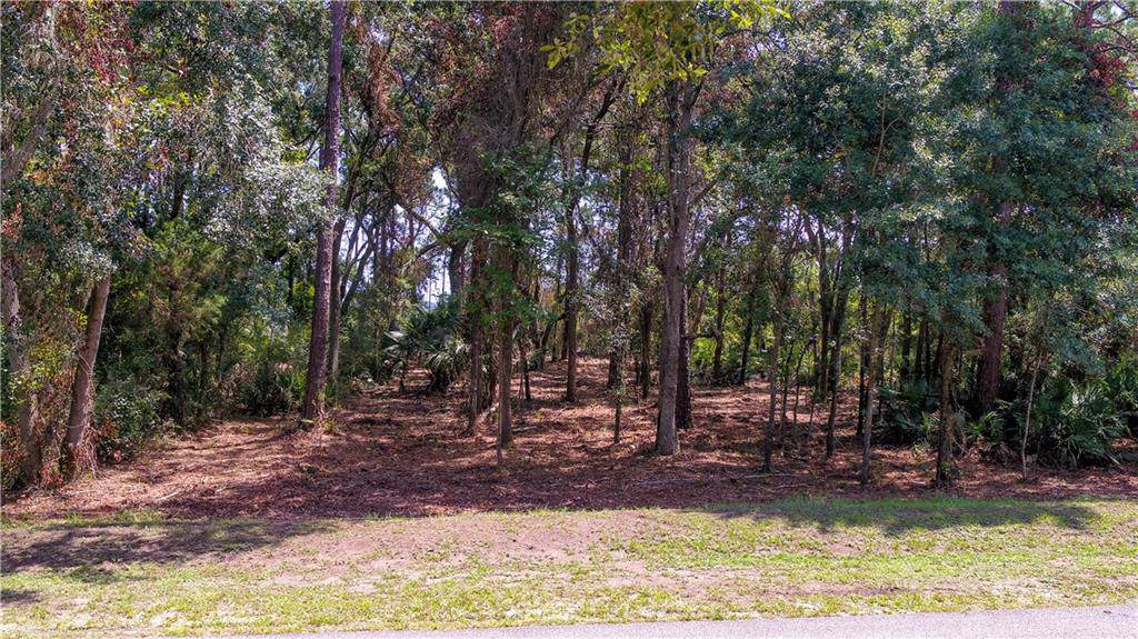 96138 Brady Point Road - Photo 1