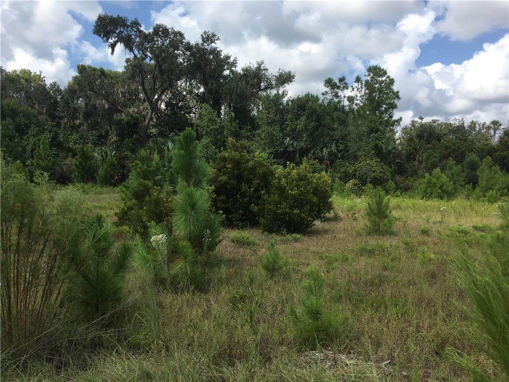 Lot 29 & 30 Amberwood Lane - Photo 1