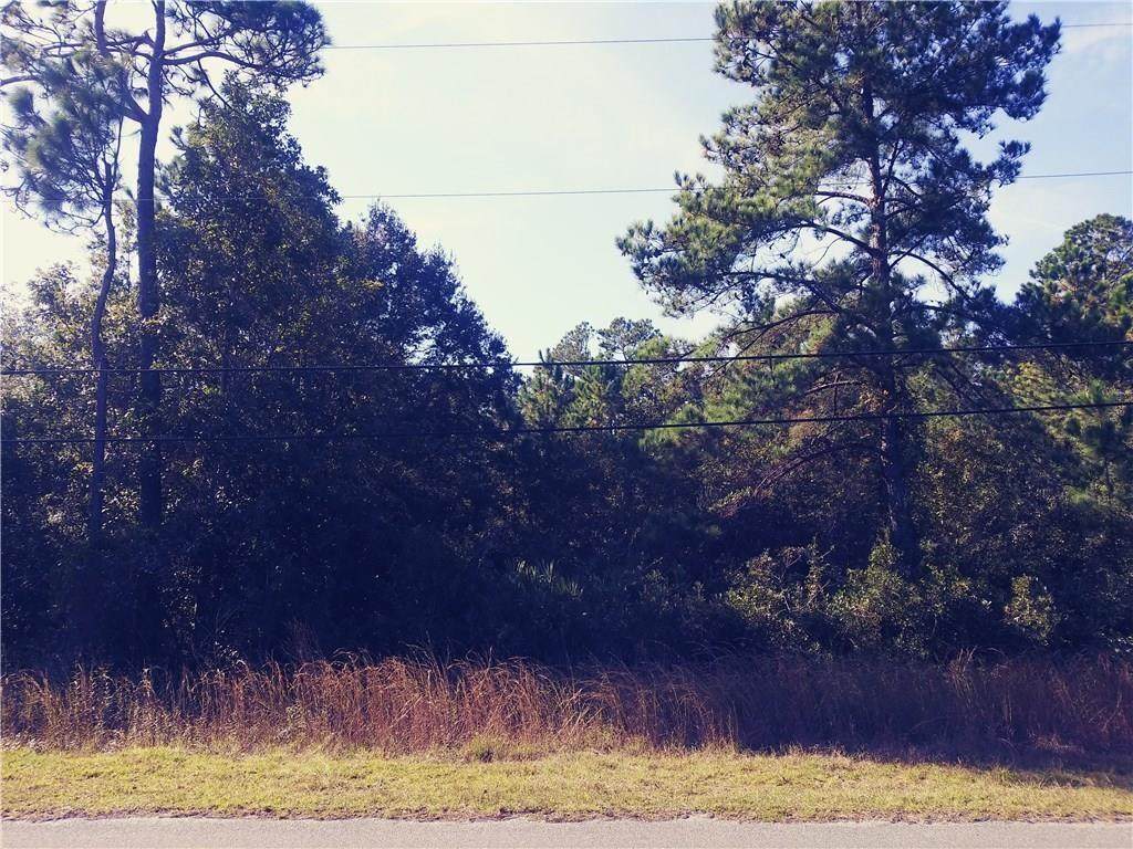 Burmeister Road - Photo 1