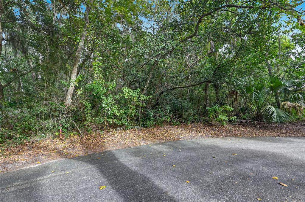 16 Moss Oaks Drive - Photo 1