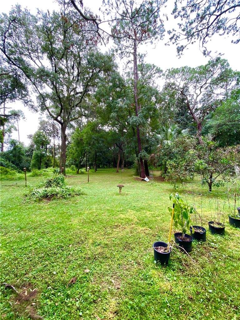 798 Bonnieview Road - Photo 1
