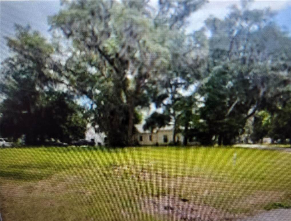 29770 Southern Heritage Place - Photo 1