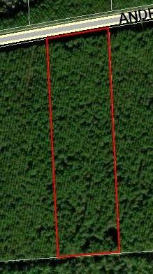 172747 Andrews Road - Photo 1