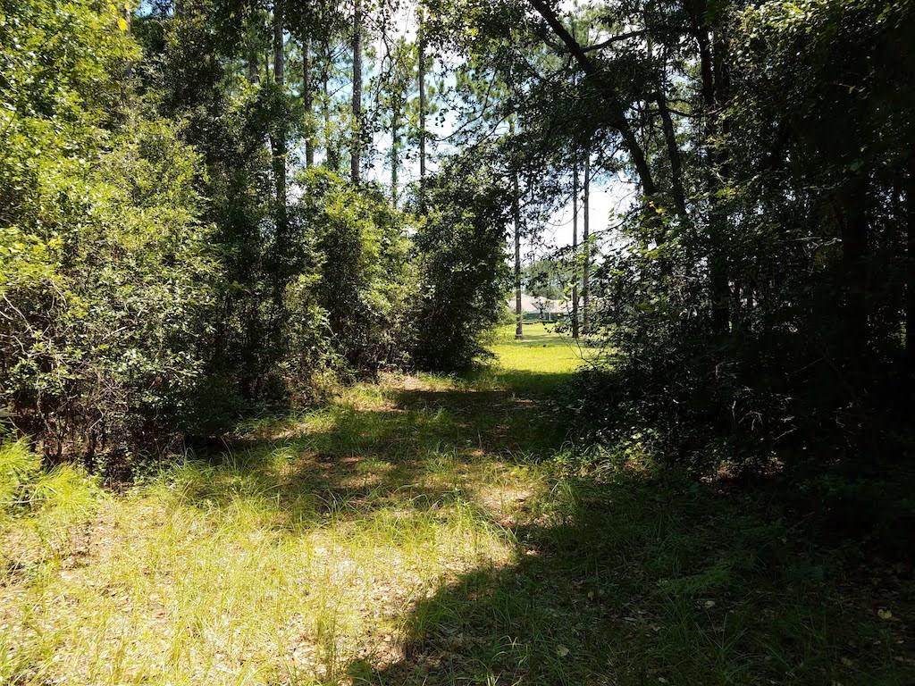 861984 Hampton Club Way - Photo 1