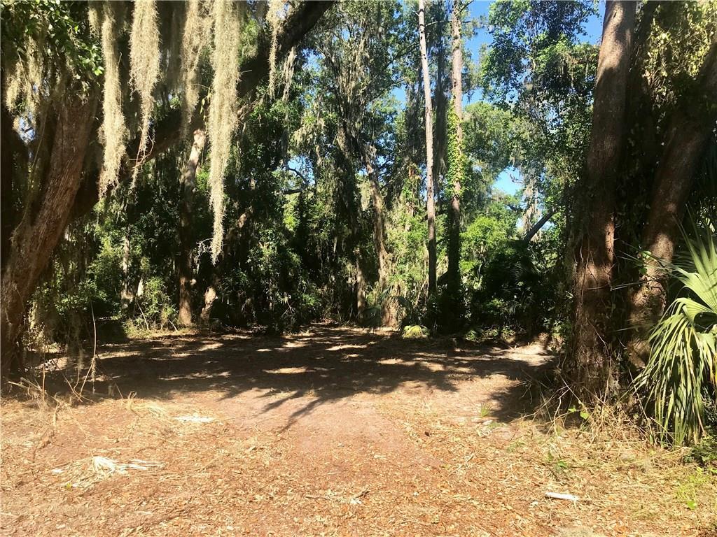 Lot #30 Hidden Marsh Lane - Photo 1