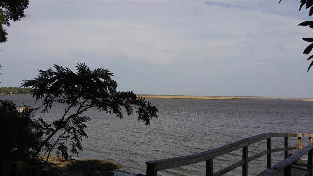 Wilder Boulevard - Photo 1