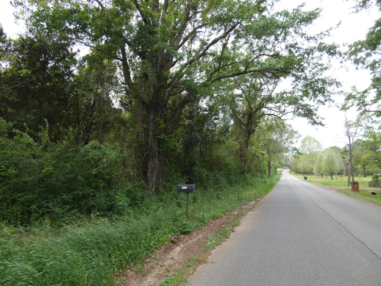 1600 Bet Raines Road - Photo 1