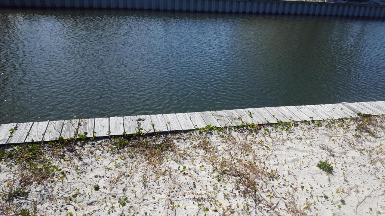 Lot 41 Grand Navarre Blvd - Photo 1