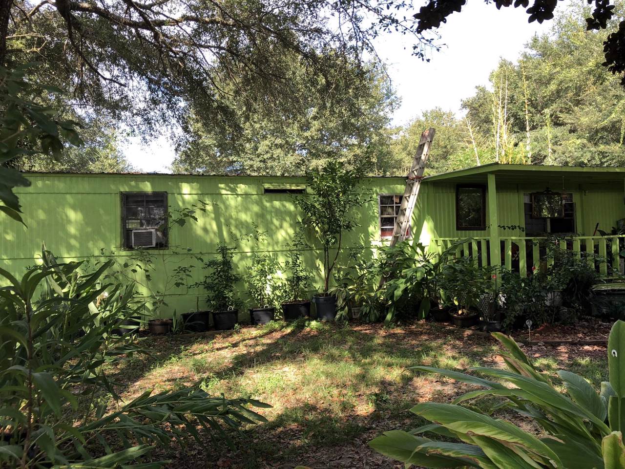 4747 Lynn Road - Photo 1