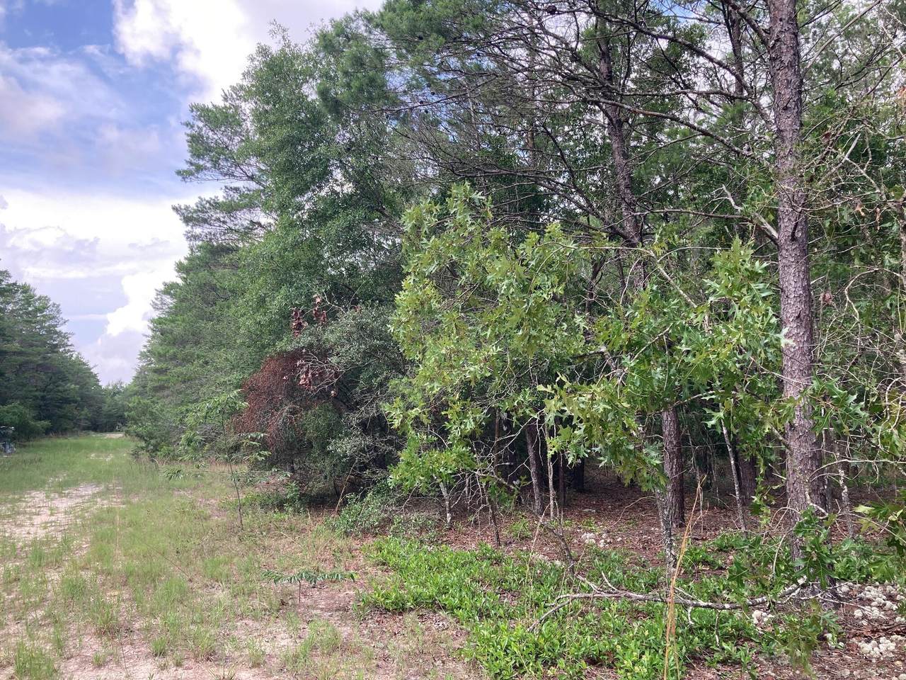 134 Post Oak Road - Photo 1